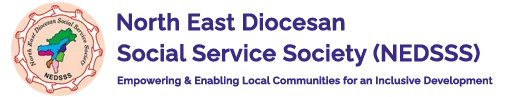 NEDSS Logo